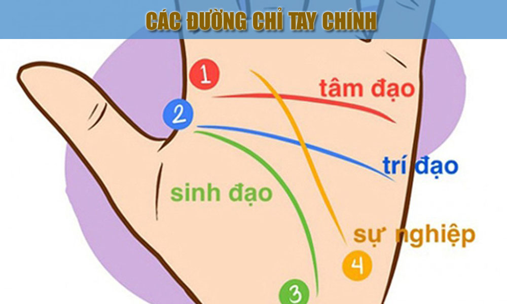 bi-an-dang-sau-nguoi-so-huu-duong-chi-tay-hinh-chu-nhat-h1